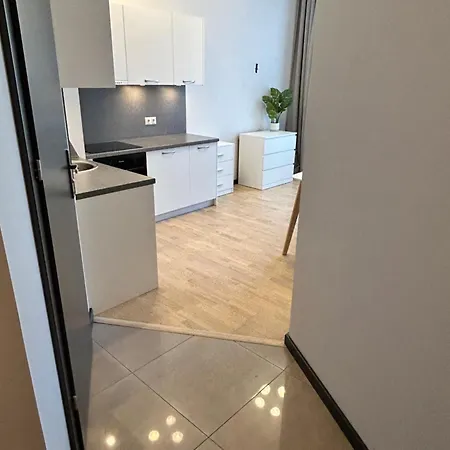 Cozy In Kalnciema 里加