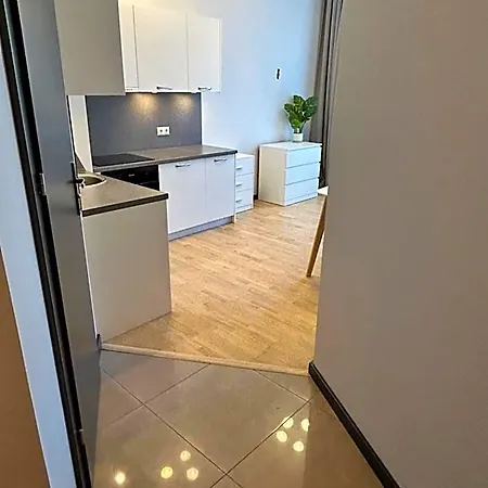 Apartment Cozy In Kalnciema