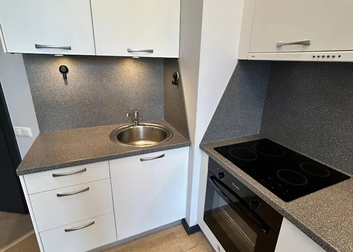 Dzīvoklis Cozy In Kalnciema Riga